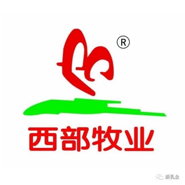 һ�ښ�������� 10 �ҹ�˾���@��������Ҫ�@ô����