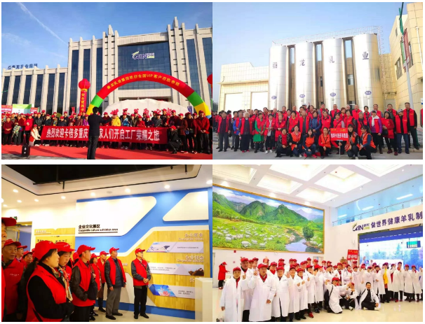 ����Ʒ�|���ɾͽ���֮�x| 2020����������ݴ��l���P����!